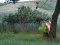 Зламані дерева та обірвані дроти: результати буревію на Горохівщині