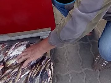 На одному з ринків Шацька чоловік продавав «незаконну» рибу