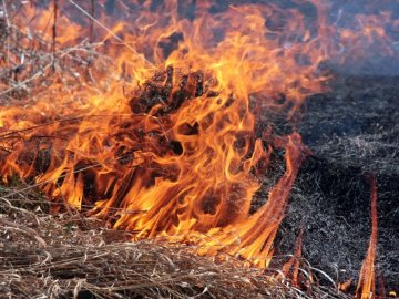 На Тернопільщині в полі знайшли обгоріле тіло чоловіка