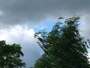Прогноз погоди у Луцьку на пʼятницю, 2 серпня