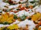 Перший сніг у листопаді та плюсові температури в грудні: прогноз від народного синоптика з Волині