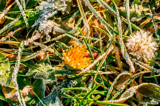 Луцьк в останній осінній день. ФОТОРЕПОРТАЖ