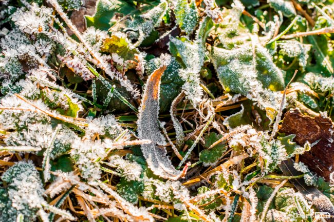 Луцьк в останній осінній день. ФОТОРЕПОРТАЖ