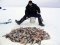 Зимова рибалка на Шацьких озерах: як і що можна ловити