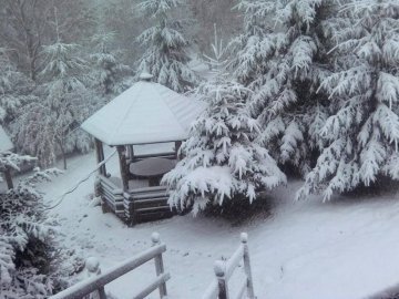 Погода в Луцьку та Волинській області на середу, 11 січня