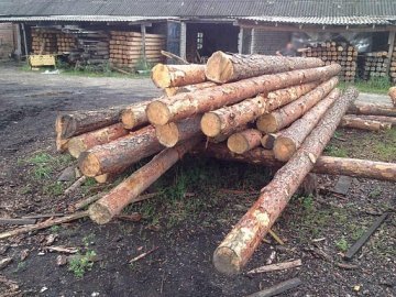 На Волині на приватних пилорамах вилучили деревини на півмільйона гривень. ФОТО