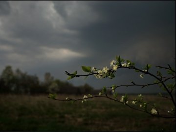 Погода в Луцьку та Волинській області на вихідні, 14 і 15  травня