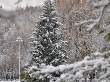 Погода в Луцьку та Волинській області на понеділок, 18 січня