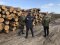 Волинські прокурори наклали арешт на вилучену деревину в Стобихівці. ФОТО