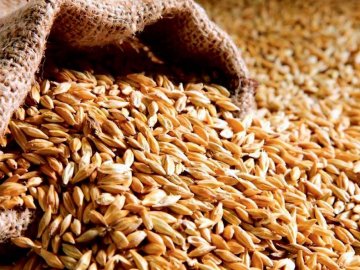 Луцький суд не зміг розглянути справу щодо мільйонної розтрати зерна
