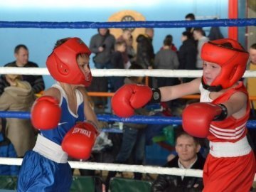 Волинські боксери «дали перцю» на Всеукраїнському турнірі. ФОТО