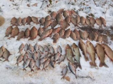 За минулий рік на Волині рибний патруль викрив майже сотню порушень