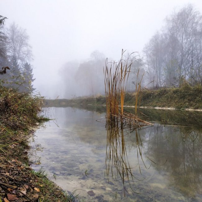 Моторошний луцький парк у полоні туману. ФОТО