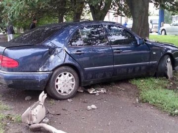 У Луцьку автівка збила стовп і влетіла в дерево