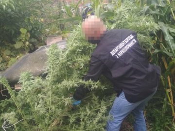Під час обшуку у жителя Ківерцівського району знайшли пів кілограма наркотиків