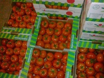 Експерти прогнозують дефіцит помідорів і їх здорожчання