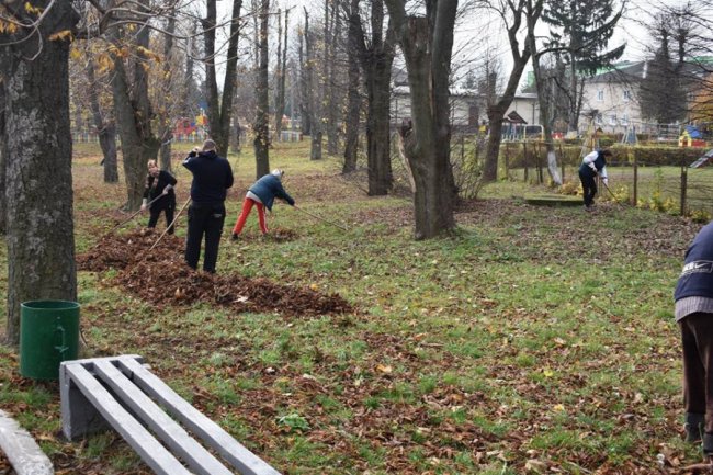 У волинському селищі влаштували осінню толоку. ФОТО