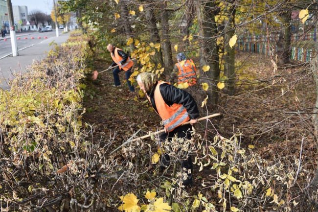 У волинському селищі влаштували осінню толоку. ФОТО