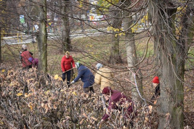 У волинському селищі влаштували осінню толоку. ФОТО