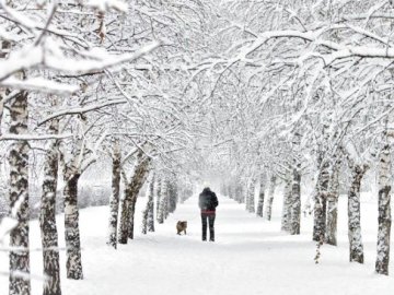 Синоптики розповіли, коли в Україні вщухнуть морози і прийде потепління