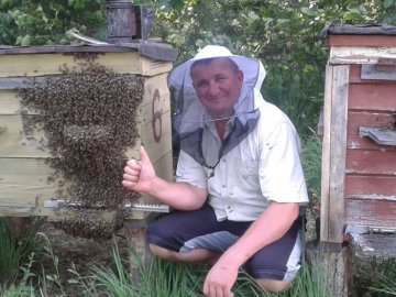 Перший раз покусали так, що 47 жал вийняв,  – медовий майстер з Волині про бджолярську справу