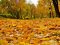 Дощовий вересень і теплий листопад: народний синоптик розповів про погоду восени