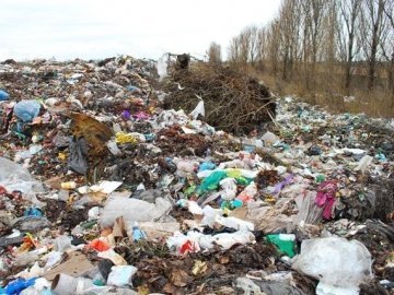 Ситуація зі сміттєзвалищем у Брищі – критична, – представники екоінспекції. ВІДЕО