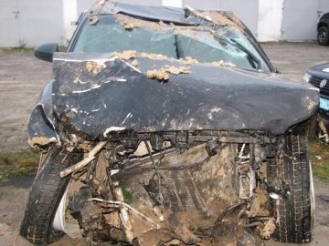 Аварія на Волині: авто злетіло в кювет і перекинулося