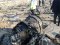 Опублікували нове відео з місця падіння українського літака в Ірані