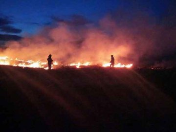 У Любешівському районі загорання сухої трави гасили 3 години