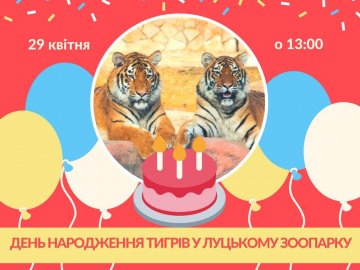 Луцький зоопарк запрошує відсвяткувати день народження тигрів