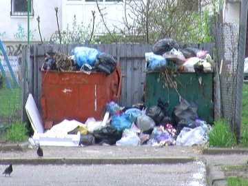 Обуренню немає меж: комунальники несвоєчасно вивозять сміття з двору у Луцьку