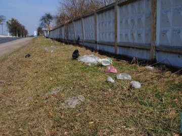У Володимирі-Волинському хочуть карати штрафами за стихійне сміттєвивезення