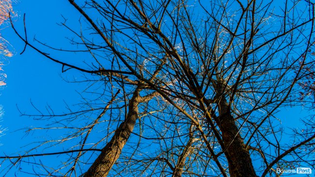 Луцьк в останній осінній день. ФОТОРЕПОРТАЖ