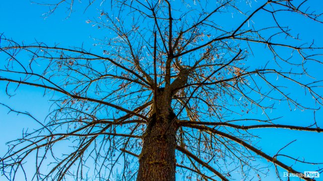 Луцьк в останній осінній день. ФОТОРЕПОРТАЖ