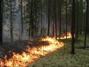 Укргідрометцентр попереджає волинян про надзвичайну пожежну небезпеку 