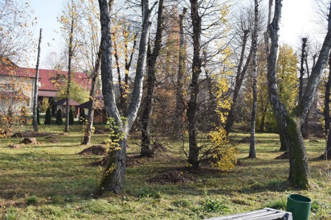 У волинському селищі влаштували осінню толоку. ФОТО