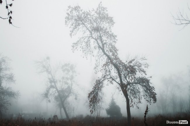 Туманний Луцьк: неймовірні фото 