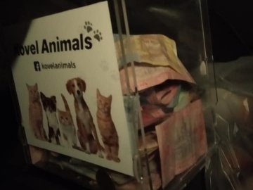 У місті на Волині у ветеринарній клініці вкрали скриньку для пожертв