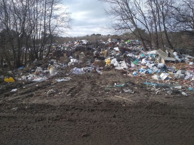 «Ліс» із відходів: у селі на Волині – гори сміття. ФОТО