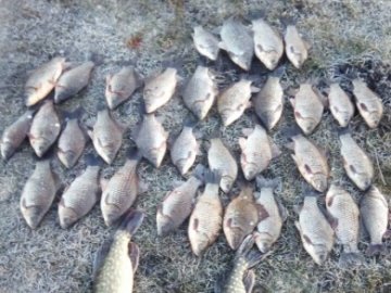 У 2019 році рибні браконьєри на Волині завдали шкоди на 70 тисяч гривень