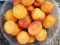 Від і до: скільки коштують перші абрикоси на луцькому ринку. ФОТО