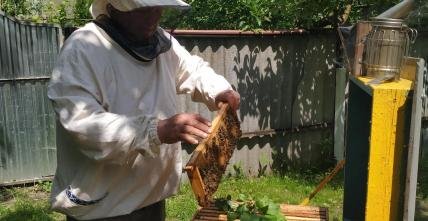 Секрети бджолярського ремесла від подружжя пасічників-рекордсменів з Волині
