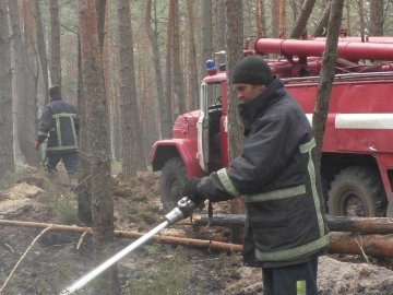 «Сховищу радіаційних відходів загрози немає», –  повідомили про ситуацію з пожежами в Україні