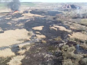 Як пожежі сухостою знищили волинські поля. ВІДЕО