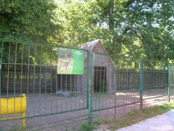 Ветеринари назвали найімовірнішу причину смерті ланей в Луцькому зоопарку