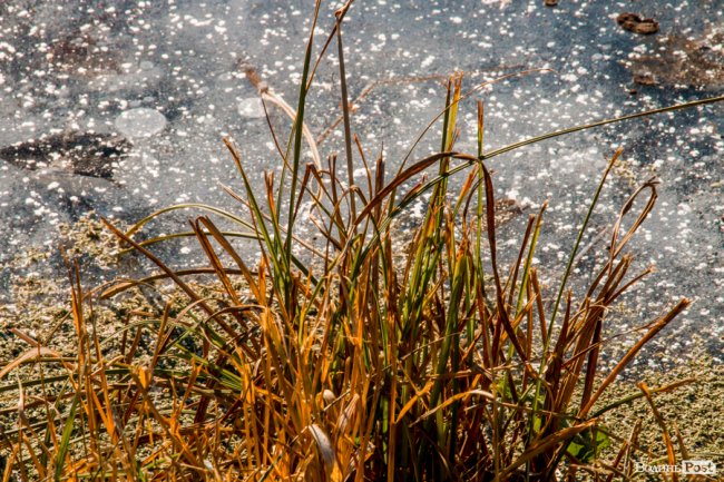 Луцьк в останній осінній день. ФОТОРЕПОРТАЖ
