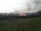 На Волині рятувальники ліквідували загоряння сухої трави та очерету. ФОТО