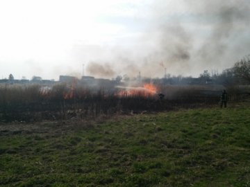 На Волині рятувальники ліквідували загоряння сухої трави та очерету. ФОТО