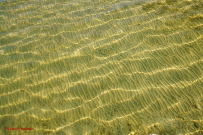 Яким було озеро Світязь 10 років тому.  ФОТО